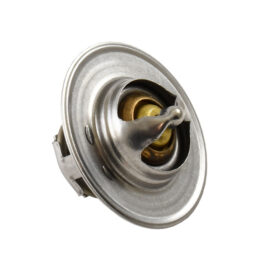1948-86 Thermostat (180°)