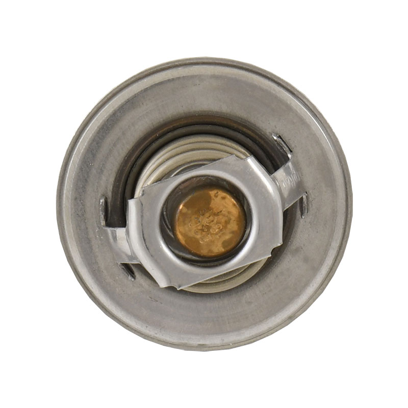 1948-86 Thermostat (180°) - Image 3