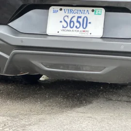 2024+ Reverse Light Lens Vinyl Tint