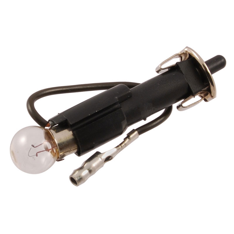 1973-79 Glove Box Light & Switch Assembly